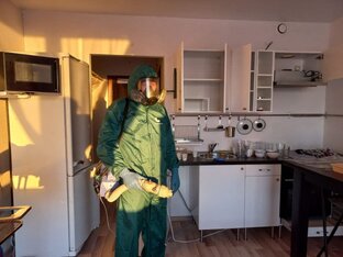 Вызвать дезинфектора СЭСДез74 обработать помещение