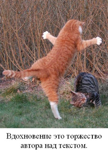 Алексей Котов