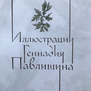 Иллюстрации Геннадия Павлишина