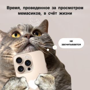 Мемы от кота в валенках 😻