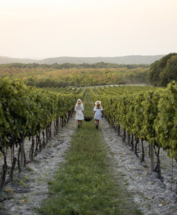 Энотуризм в России