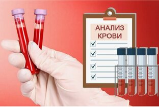 Все про анализы 💉