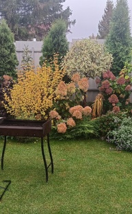 Осенний сад🍂