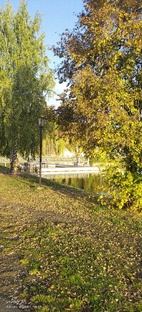 Золотая осень 