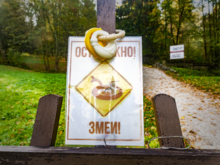 Поленово на Реке Оке