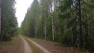 охота