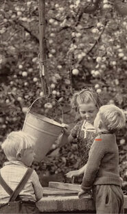 То, что близко сердцу, то что заинтересовало