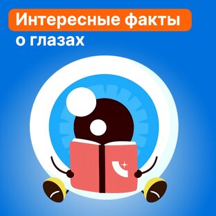 Интересные факты про зрение