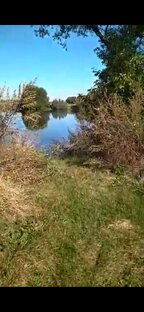 Вот какая прелесть!!!