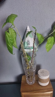 Слепые затесты