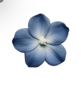 Рассказы о жизни 