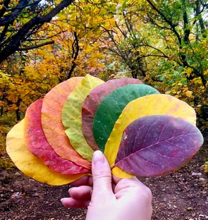 Осенний Пятигорск