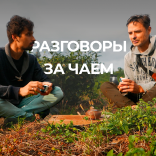 Разговоры за Чаем