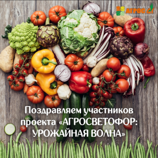 #Агросветофор