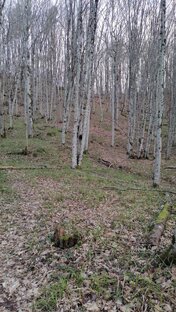 Горы Краснодарского края