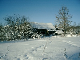 Слава Королев