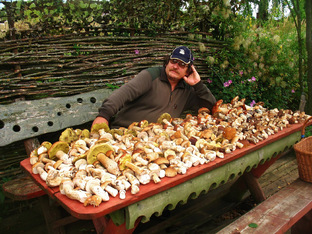 Записки Провинциала