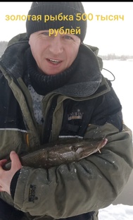 Золотая рыбка с золотым кольцом с девяти бриллиантами с вознаграждением 500 тыс 