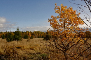 Просто видео