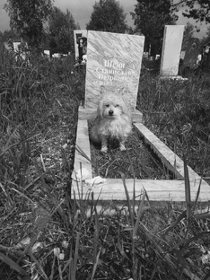 Преданность