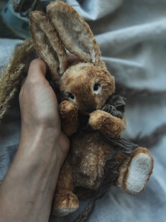 Ушастые 🐰