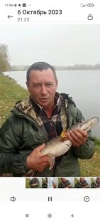 Золотая рыбка 80 рублей с вознаграждением