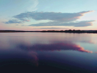 Забавные истории