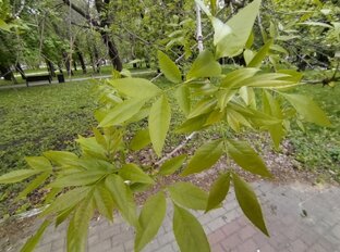 КНИГА ЗАВЕТОВ