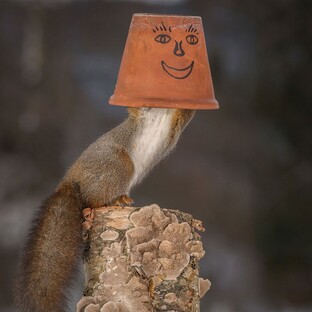 С юмором по жизни 