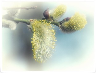 Знаменательные события / факты