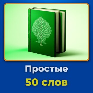 Существительные. Статьи.