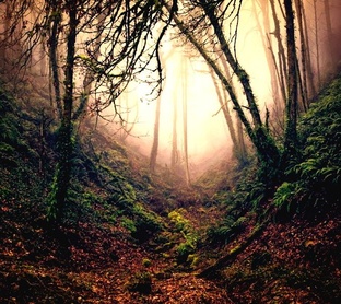 Роман "Пустой овраг"