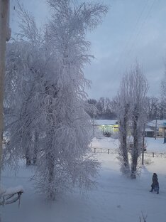 Зима.Вид из окна.