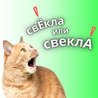 Тесты на ударение 
