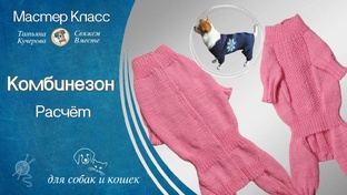 Комбинезон для собак и кошек спицами