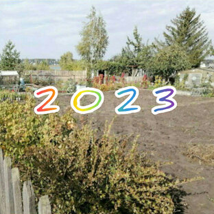 Купили дачу 8 соток в июне 2023 году