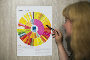 Глазами дегустатора