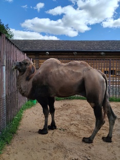 Мои зоопарки