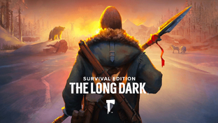 The Long Dark (выживание)