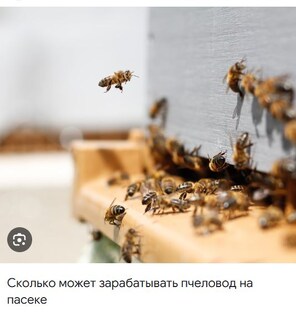 Пчеловодство