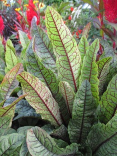 Обычные, но непривычные