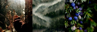 Отзывы на книги