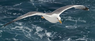 Пофилософствовать