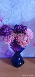 Огородные дела