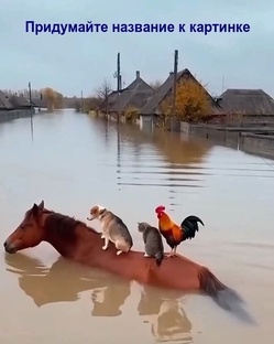 Коротко о главном
