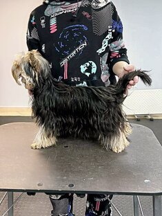 Фрося со мной в школе хендлера 😊