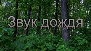 звук дождя
