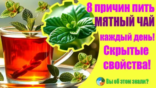 Почему мятный напиток может давать ощущение бодрости