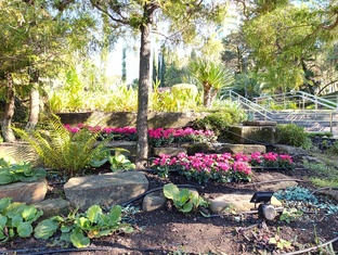 Сочи в ноябре 2025