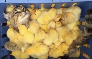 Уход за собой, любимой🤗